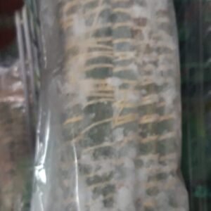 Miondo 3.80 € pièce 