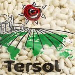 Screenshot 2022-12-10 at 16-25-01 Lingots blancs 1kg - Tersol